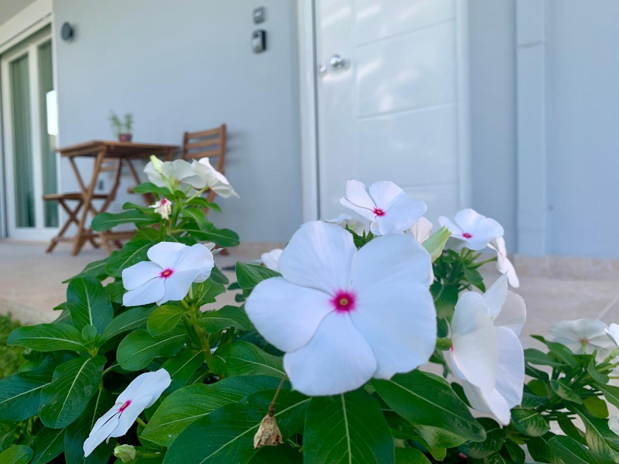 Modern Mint Sunny House Near The Airport Apartment Spata  Bagian luar foto